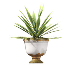 decorative flowers and plants for the interior,  isolated on white background, 3D illustration, cg render