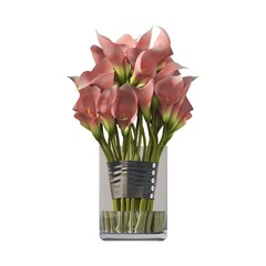 decorative flowers and plants for the interior,  isolated on white background, 3D illustration, cg render