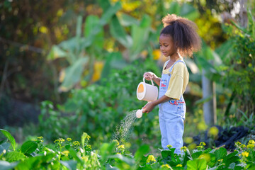 African children holding a watering can in the vegetable garden she smiles happy Young girl caring...