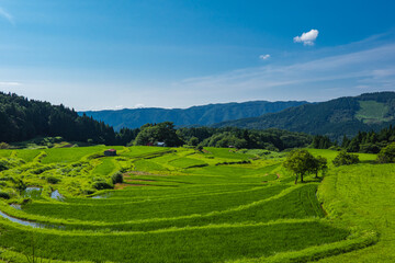 兵庫県 氷ノ山と別宮の棚田の夏景色