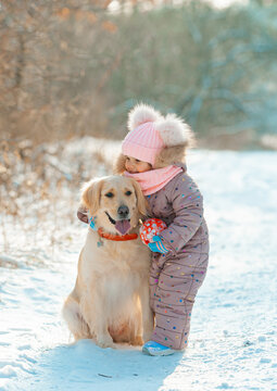 Young girl portrait in pink hat playing active game with her dog golden retriever in winter season