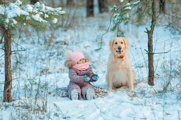 Little girl with a dog golden retriever in the winter forest on a sledge