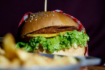 burger with fries