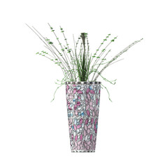 decorative flowers and plants for the interior,  isolated on transparent background, 3D illustration, cg render

