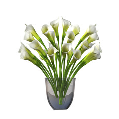 decorative flowers and plants for the interior,  isolated on transparent background, 3D illustration, cg render
