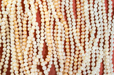 Natural sea pearls. A bunch of pearls on a red background, pearl strands close-up.