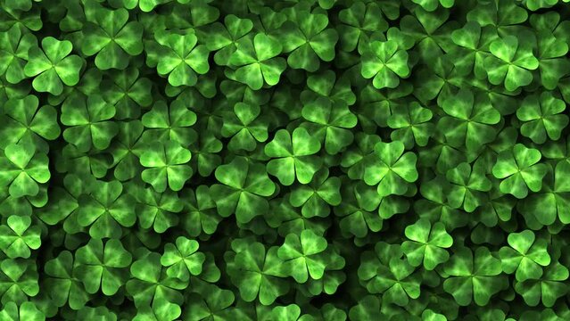 Saint Patrick's Day four leaf clover spring motion background