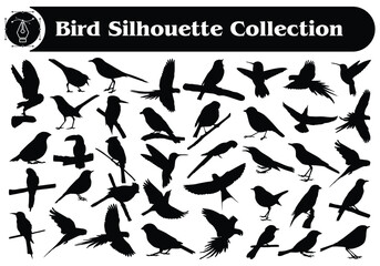 Different types of animal Bird Silhouette Collection