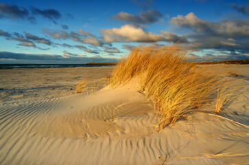 Fototapeta Wybrzeże Morza Bałtyckiego, plaża, biały piasek, trawa, Kołobrzeg, Polska obraz