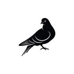 Silhouette pigeon vector illustration design