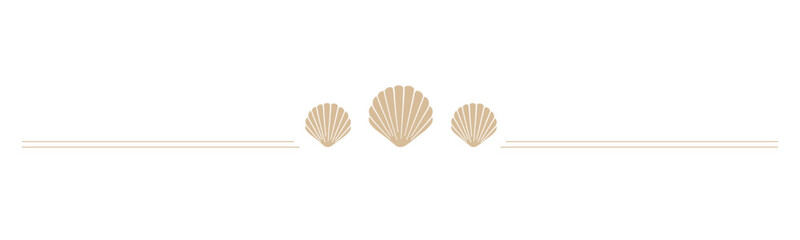 Seashells border divider. Sea and ocean design template. Vector illustration summer or beach party, advertising design