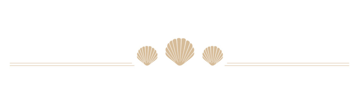 Seashells border divider. Sea and ocean design template. Vector illustration summer or beach party, advertising design
