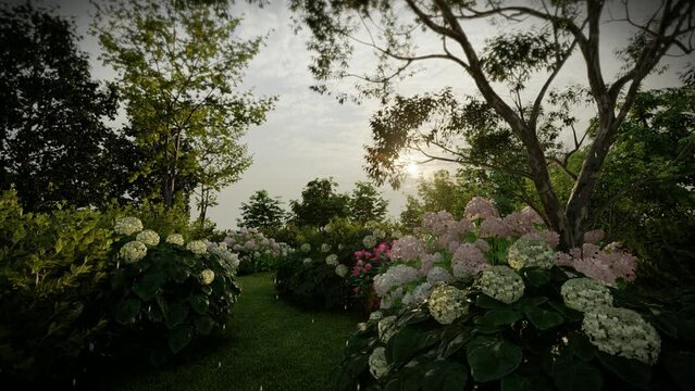 Artist 3d render hydrangea and
buddleia, sunset rainy garden, background for meditaion music