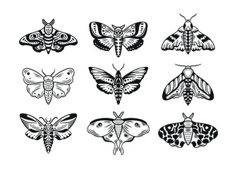 Hand drawn celestial moth collection. Flying beetles ink style graphics. Moth drawing set. Vector illustration. - obrazy, fototapety, plakaty