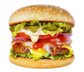 Delicious burger cut out