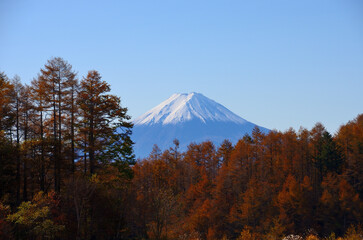 Tree red, mountain blue