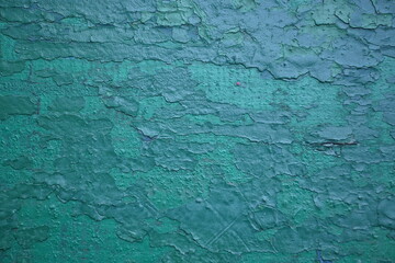 abstract texture of green peeling paint on a wooden surface, background for a banner, green background for a poster, painted texture of a bench, wooden texture of an old tree gray old wood and green