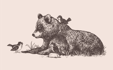 Young bear communicates with forest birds. Vector vintage illustration. Best friends..