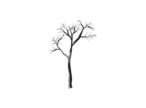 Withered Tree" Images – Browse 569 Stock Photos, Vectors, and Video | Adobe  Stock