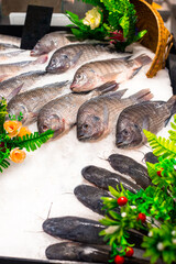 Fresh raw tilapia fish on ice in a shopping tray on the counter. Catching and selling fish