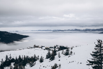 Dragobrat, Ukraine mountain landscape with fog and fir trees