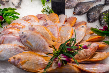 Fresh raw sea bream fish is beautifully stacked on ice in a shopping tray. Useful tasty product
