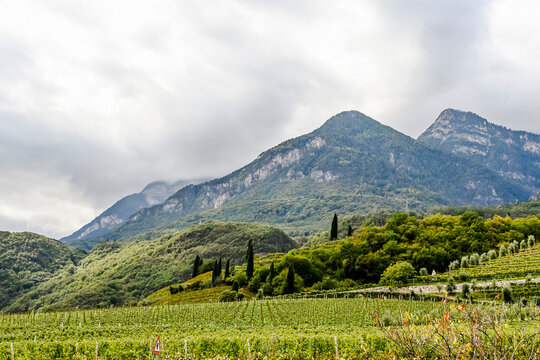 Kaltern, Caldaro, Tramin, Weinstrasse, Kalterer See, Lago di Caldaro, Weinberge, Weinbauer, Wanderweg, Spazierweg, S&uuml;dtirol, Etschtal, &Uuml;beretsch, Herbst, Italien