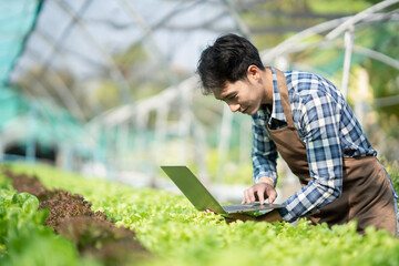 Asian Young Farm Worker Noting Progress of Living Lettuce Growth. .