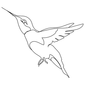 flying silhouette hummingbird, colibri in flat style or one line style 