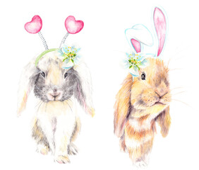 Cute couple of Rabbits with long ears. Funny red white holland lop bunny rabbits with headbands and flowers. Realistic humor watercolor illustration. Valentines Day, Easter, Birthday greeting card. 