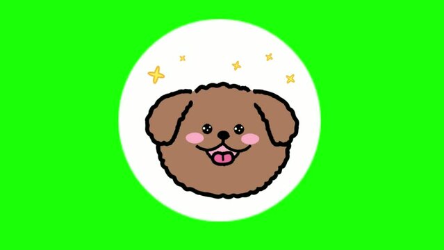 cute dog face expression animation, with green screen display, perfect for animal lovers, ads, templates, etc.