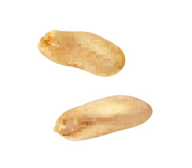 Realistic Halved Peanuts Composition