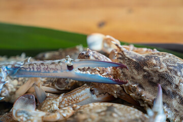 Wood Plate with a deliciouse raw seafood crabs, ready to grill or cook