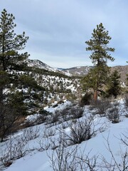 Hiking The Foothills Of Morrison Colorado