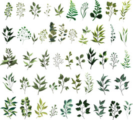 Leaves Decoration PNG