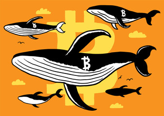 Crypto Whales Doodle