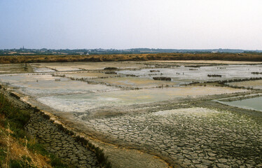 Marais salants, Guerande, 44, Loire Atlantique, France