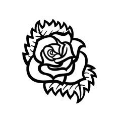 A beautiful rose isolated on white.