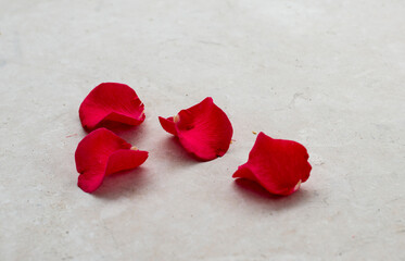 rose petals