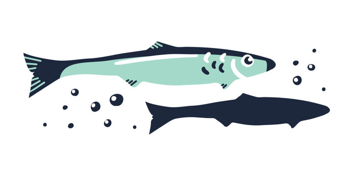The catch of fine feed fish. Seafood for conservation and preparing various dishes. Sea inhabitant. Air bubbles in water. Cartoon illustration in a flat style. The silhouette of anchous.
