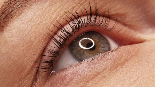 SLOW MOTION: A woman's eye with long black eyelashes after lamination. Closeup, girl's eye opening with long black eyelashes. Close-up of the human eye..