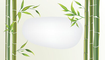 Bamboo green chinese art banner stone frame graphic nature simple vector