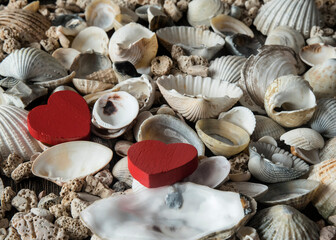 dwa serca na muszelkach wyrzuconych na plaży z morza