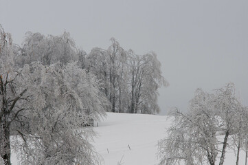 Zima i krajobrazy zimowe, śnieg w górach, mrozy w polsce, zimowe krajobrazy.