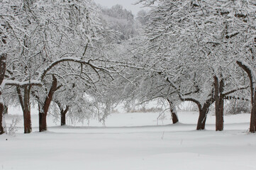 Zima i krajobrazy zimowe, śnieg w górach, mrozy w polsce, zimowe krajobrazy. © Freshfanpage