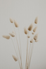 Trockenblumen