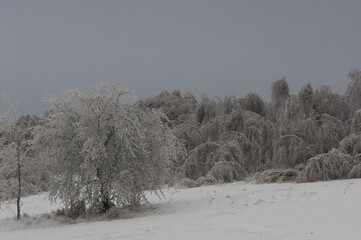 Zima i krajobrazy zimowe, śnieg w górach, mrozy w polsce, zimowe krajobrazy. © Freshfanpage