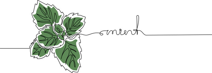 Mint leaf with text in continuous one line drawing. Healthy organic concept. Minimal line art. Vector illustration. © ilsuu