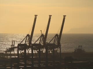 Fototapeta na wymiar cranes at sunset