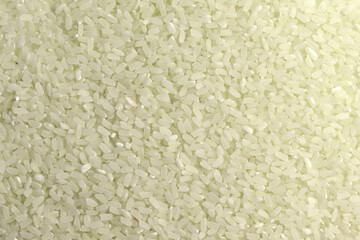 White rice as a food background, Uncooked raw cereals, Macro closeup background